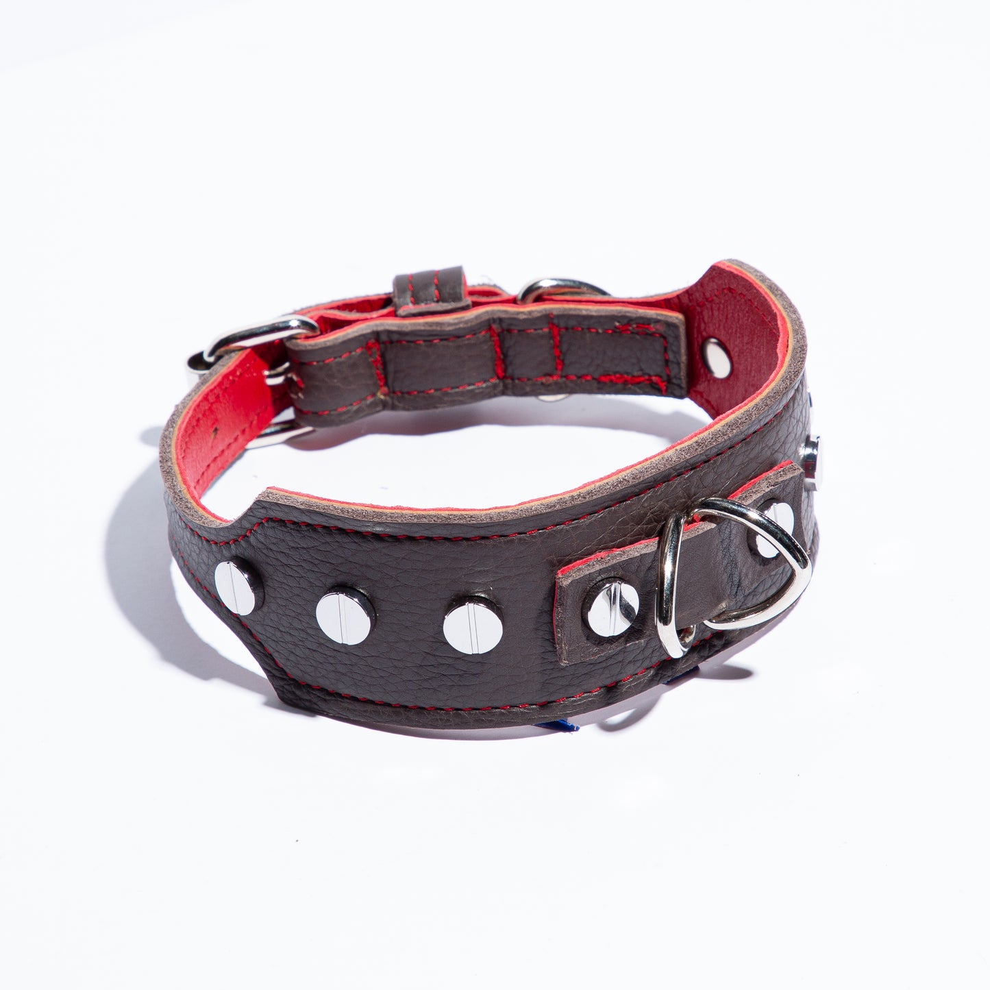 Flat Head Collar in Black with Red